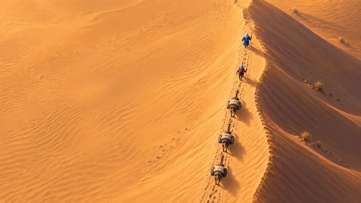 Painted camel caravan following a sunlit ridge of Saharan dunes.