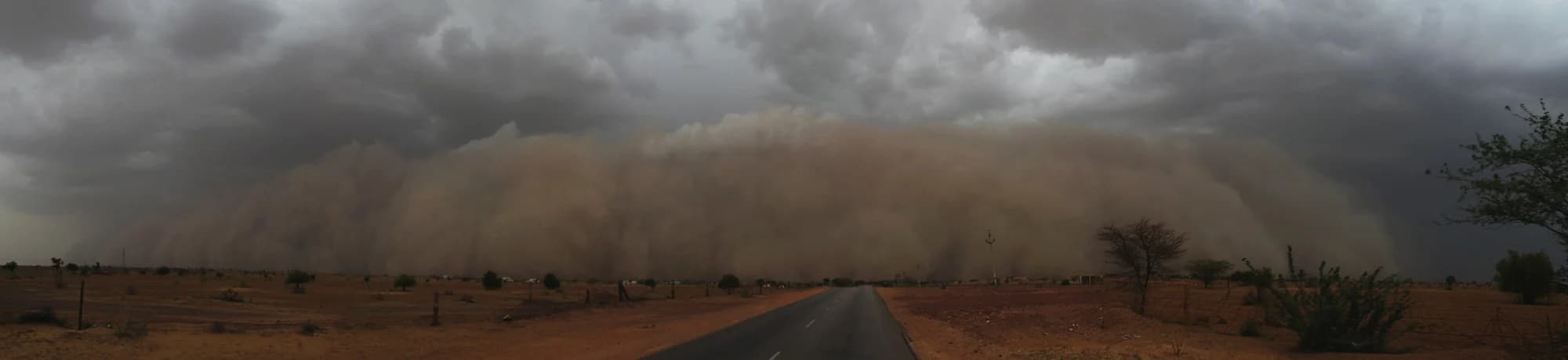 A wide wall of orange sandstorm dust rolling across a straight desert road under a heavy grey sky, scattered trees either side.