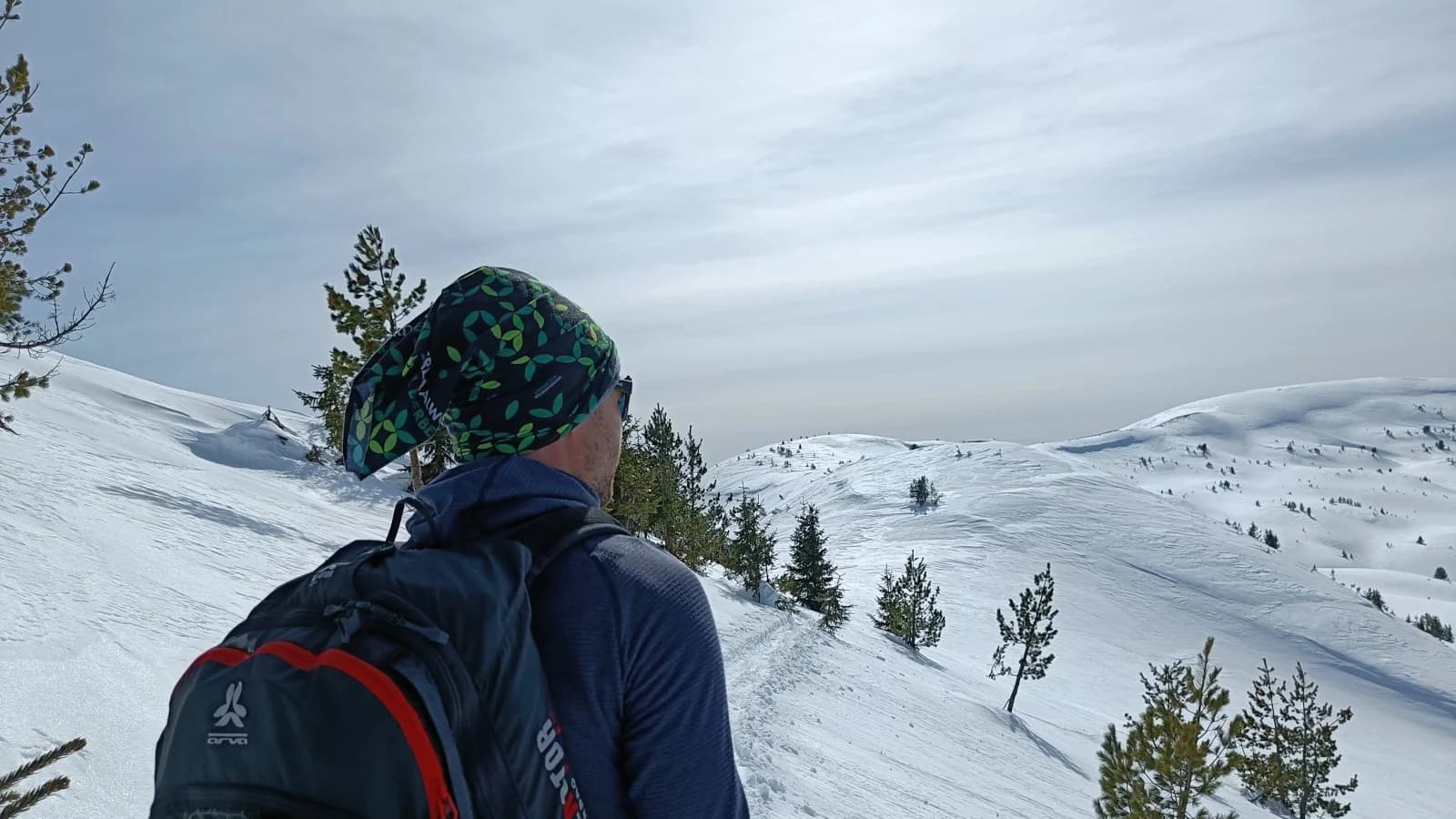 Over the shoulder of a rider in a patterned buff and pack, looking out across an open snow bowl scattered with small pines.