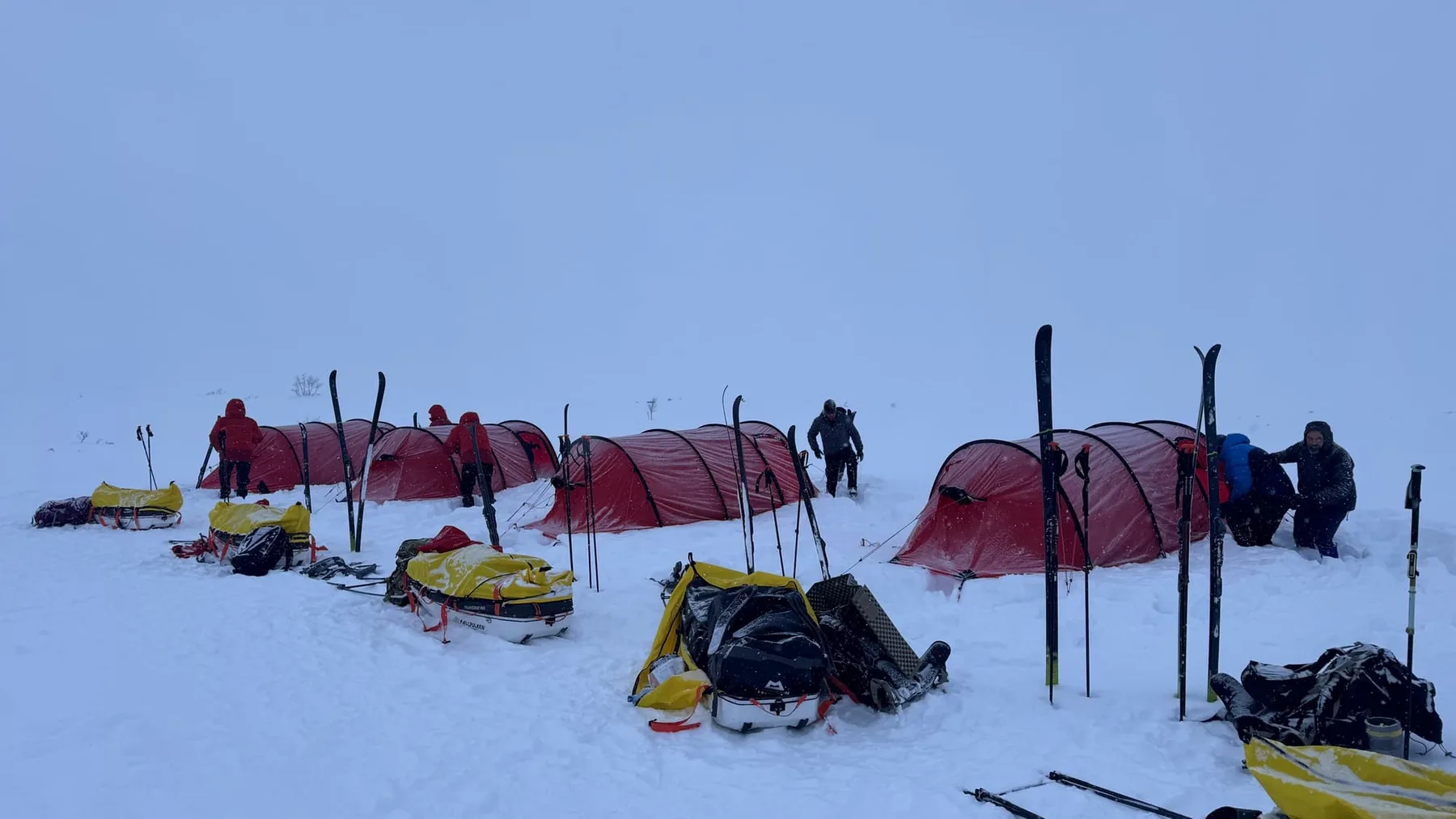 Red tunnel tents going up on open snow in flat white light, skis planted upright beside them, loaded pulks in the foreground and several people working in hooded jackets.