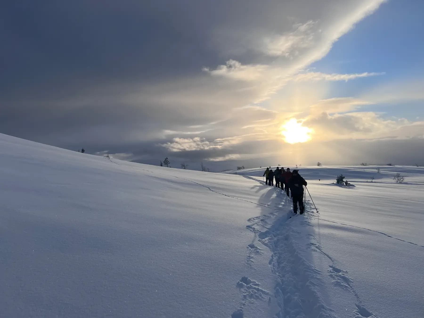 A line of skiers follows a single track across an open snowy slope towards a low sun.