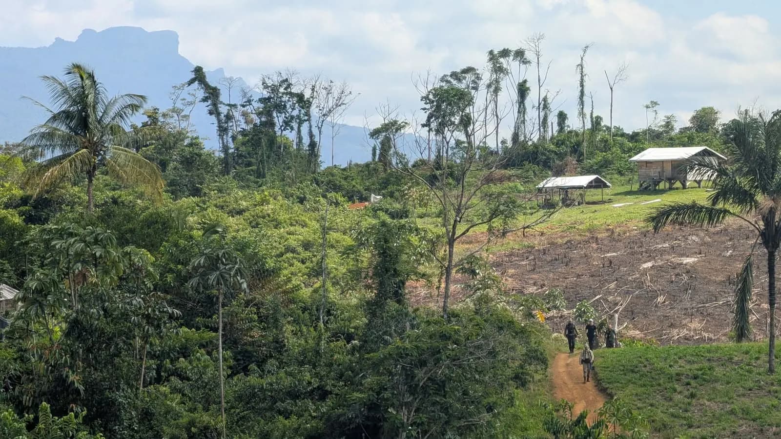 Four people walk a red-earth path through a forest clearing with palms, a burnt cultivation plot and stilted buildings with metal roofs. A flat-topped mountain stands in haze behind.