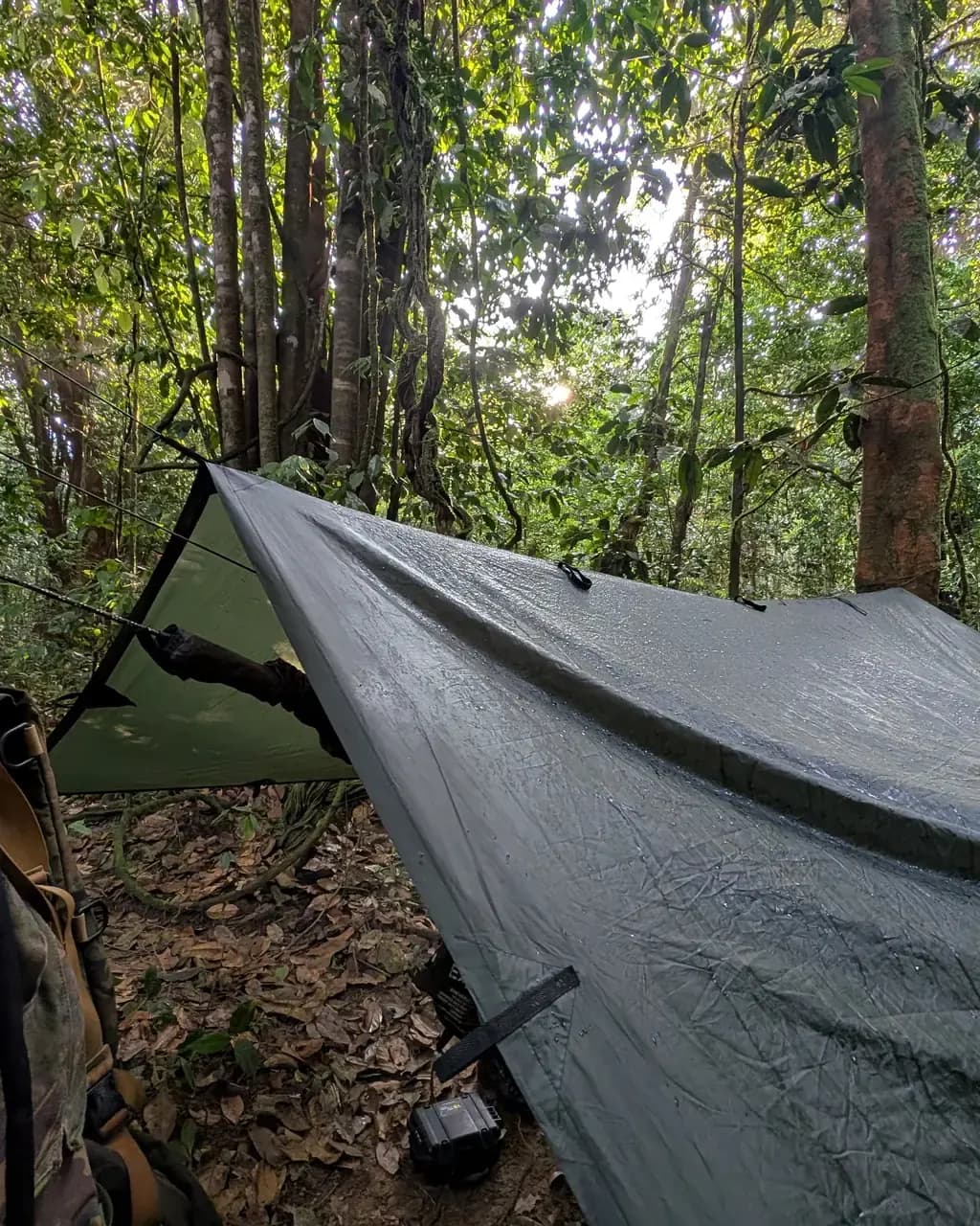 A green tarp shelters a hammock between trees, with bags and a hard case on the leaf-covered forest floor.