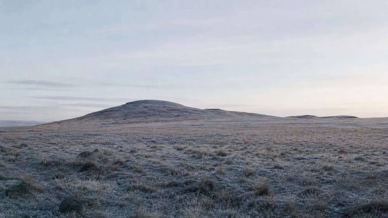 A spare dawn landscape — a low ridge sitting beneath a wide pale sky across open frosted grassland.