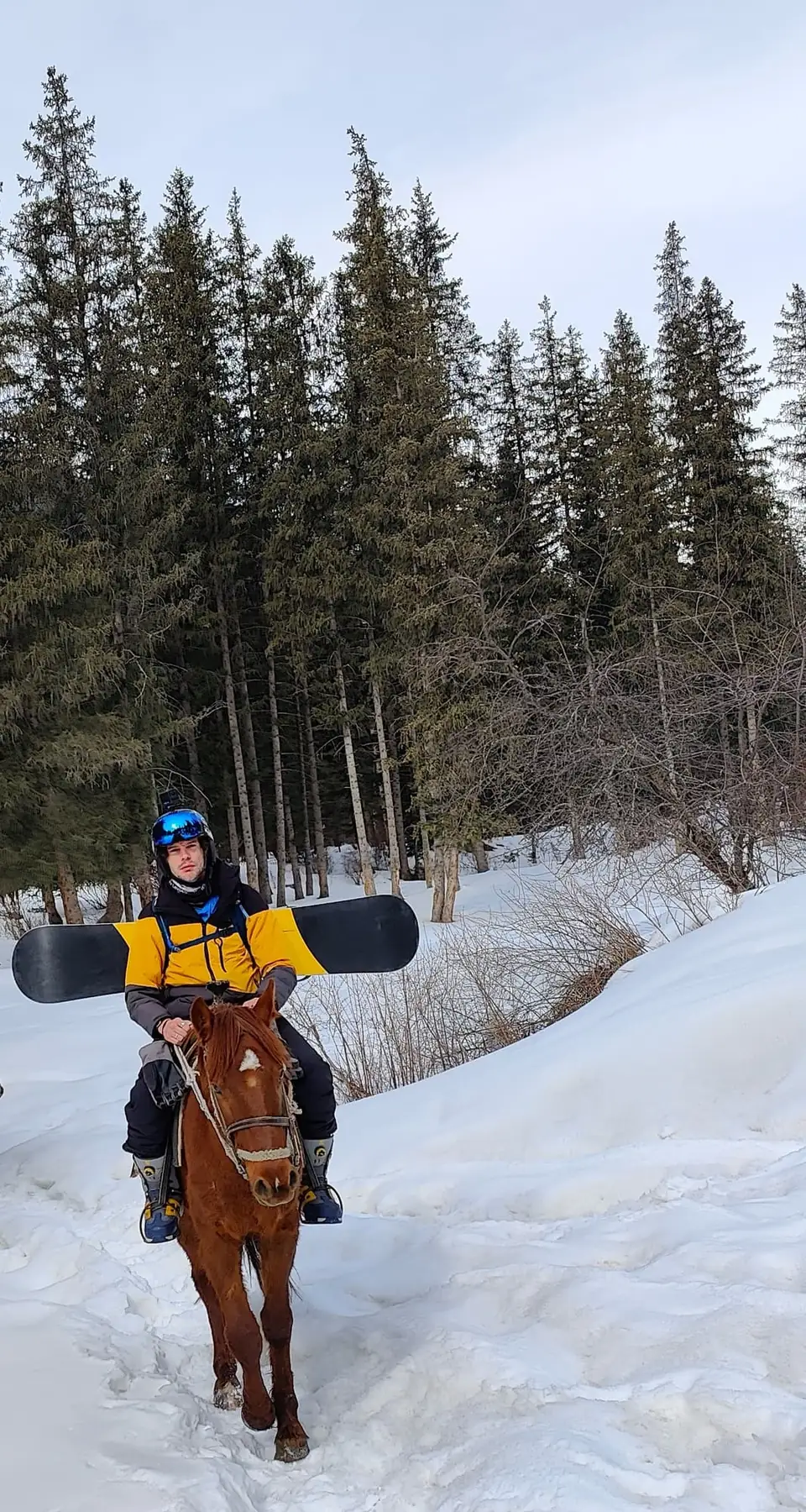 A rider in a helmet and goggles on a chestnut horse on a snowy track, a snowboard strapped across his back, spruce forest behind.
