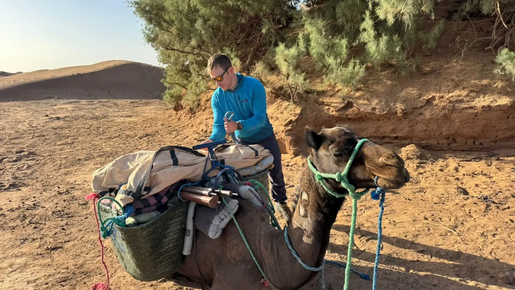 A man in a blue fleece lashing panniers and blankets onto a couched camel in the shade of a tamarisk, dunes behind.