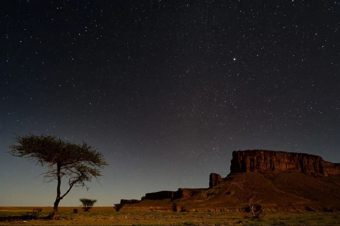 A lone flat-topped thorn tree on open ground under a dense field of stars, with a flat-topped rock plateau to the right.