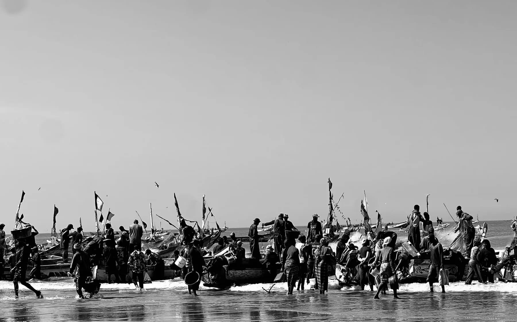 Black and white photograph of a crowded fishing beach: wooden boats flying pennants in the surf, and people wading in the shallows carrying basins and boxes.