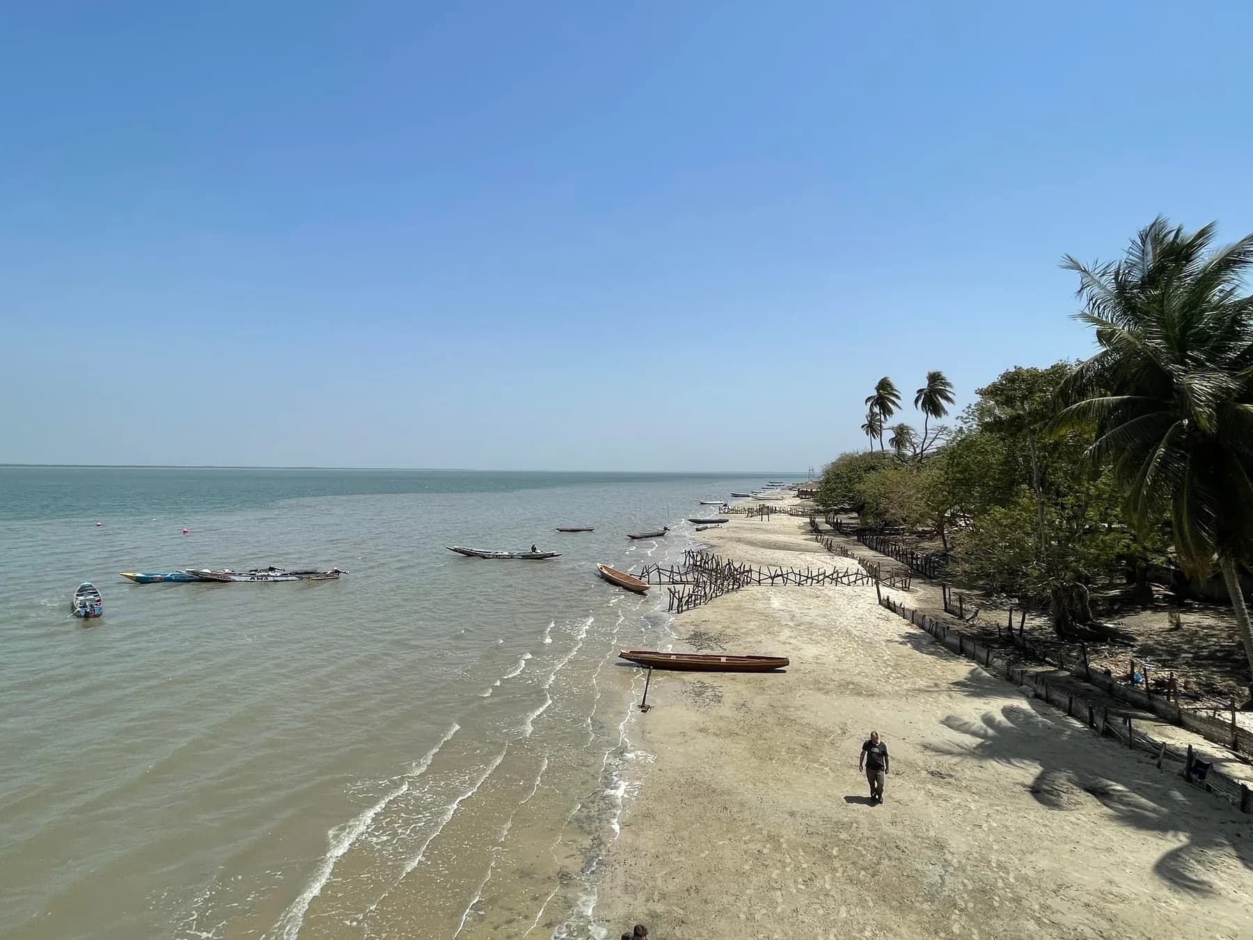 Person walking along a palm-lined beach with small boats