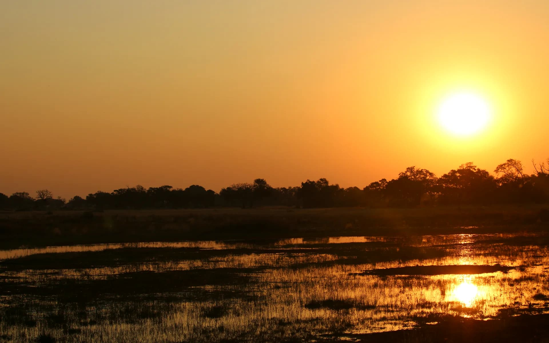 The sun setting over a flooded channel in the Okavango Delta, Botswana.