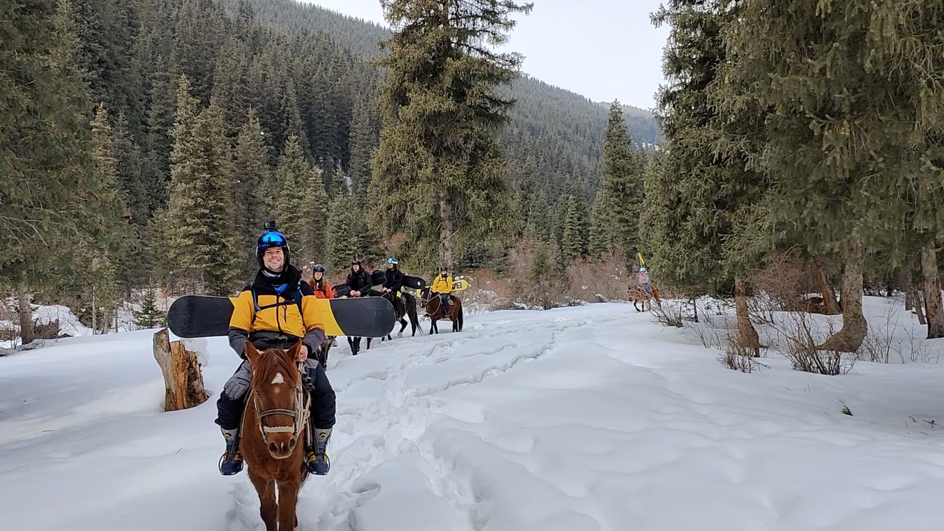 The whole group riding single file up a snowed-in spruce valley, snowboards across their backs, the lead rider grinning at the camera.