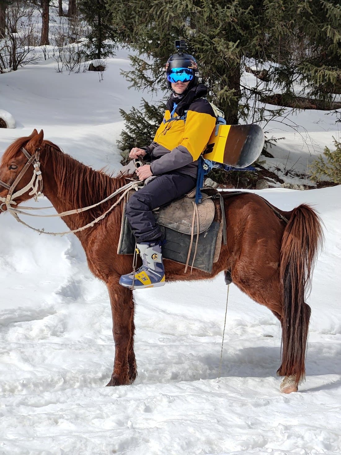 A rider in full snowboard kit and goggles sitting on a chestnut horse, board strapped behind him.