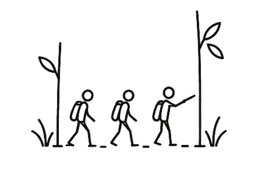 Single-line illustration of adults and a guide finding a route through dense rainforest.